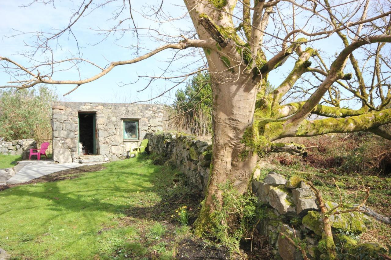 Atlantic Way Cottage Galway Exteriér fotografie