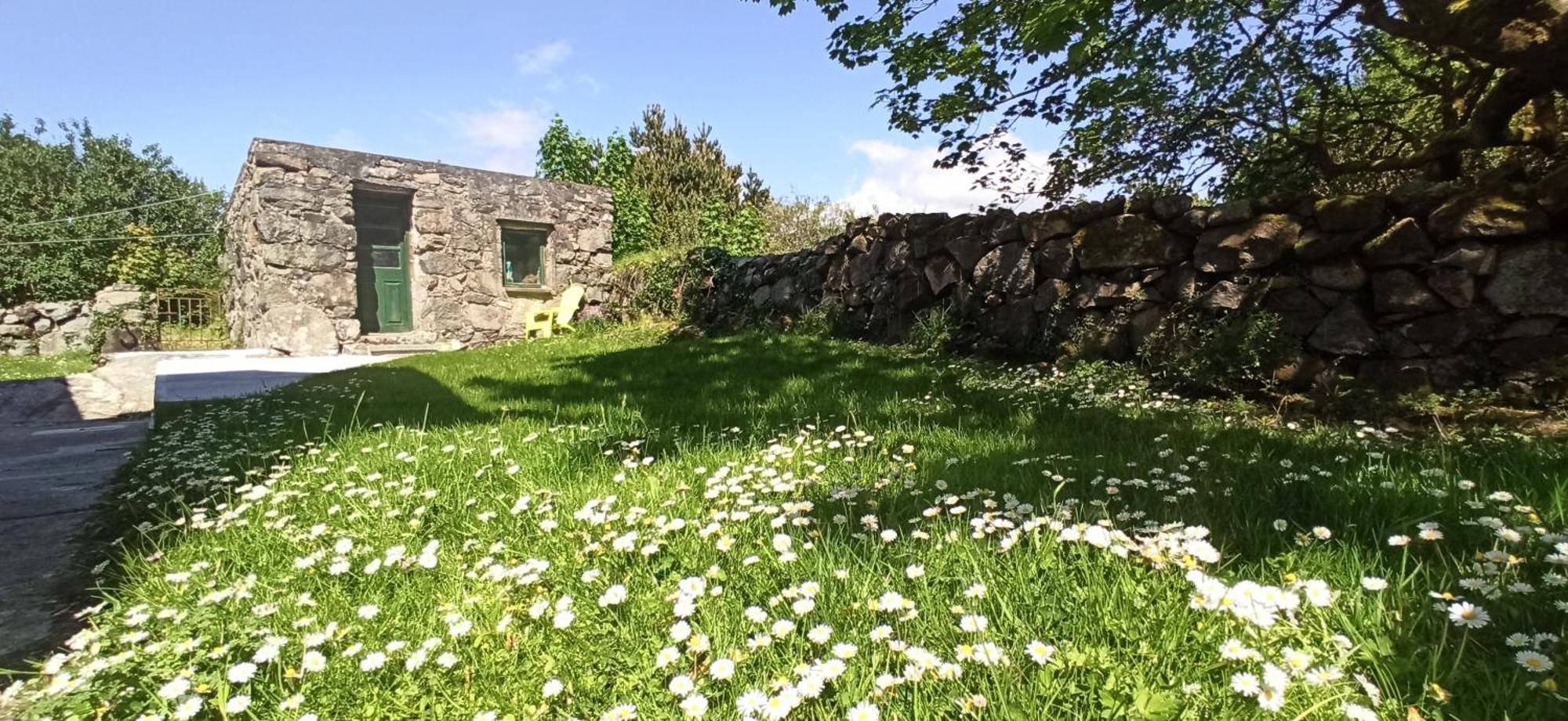 Atlantic Way Cottage Galway Pokoj fotografie